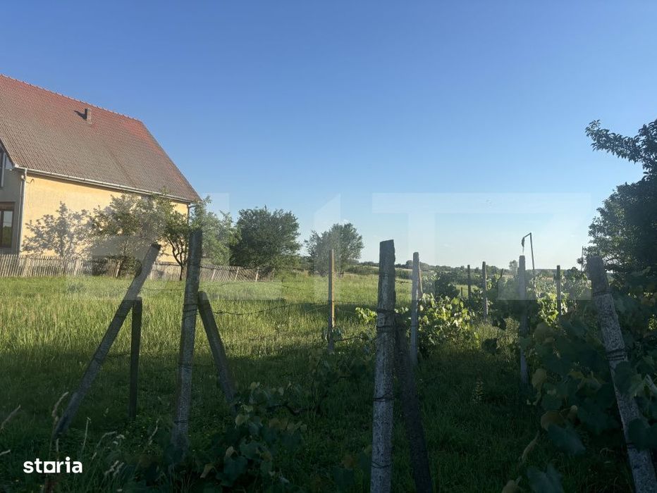 Teren intravilan de vanzare – 13,3 ari, front stradal 23 ml, zona Ci
