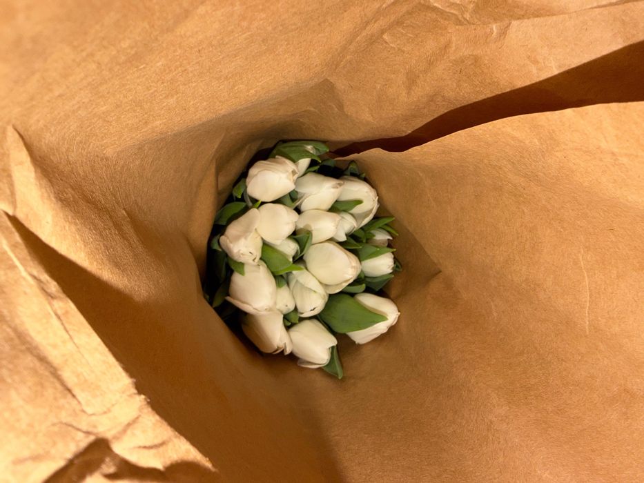 Тюльпаны на 8 марта