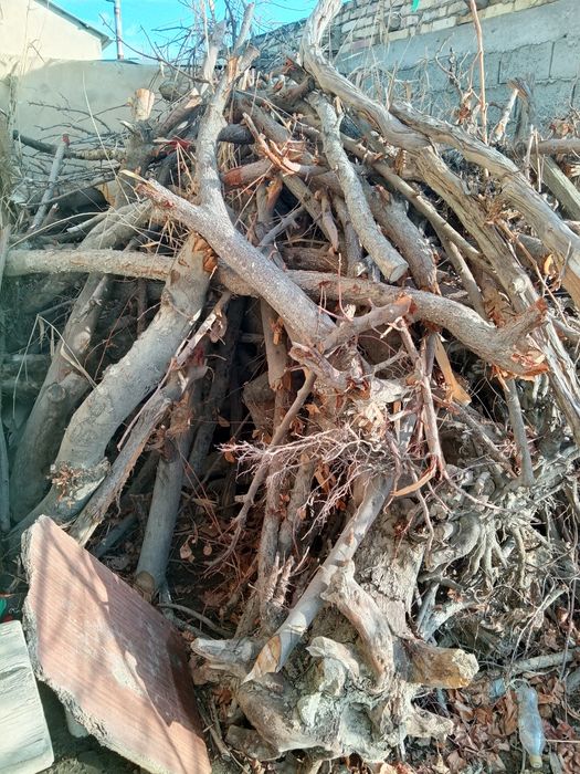 Oʻtin sotiladi srochno arzon narxda