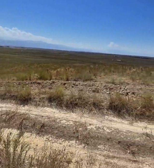 Продам участок КХ ! Турарские дачи