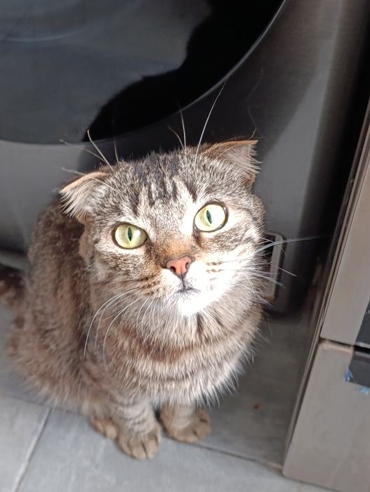 Стерильная девочка в надёжные руки