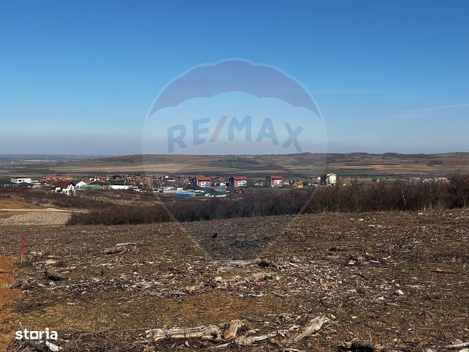 Teren de vânzare – Paleu, județul Bihor | 3 parcele a câte 618 mp