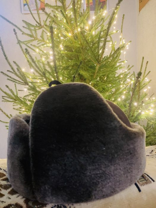 Мужская цигейковая шапка