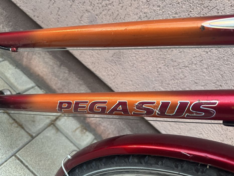 Bicicleta de dama