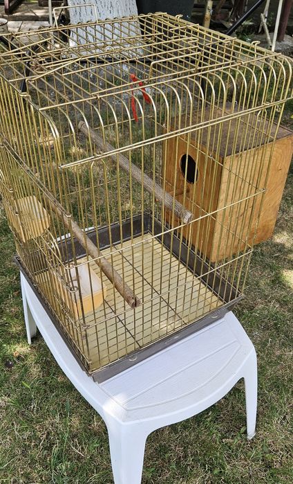 Colivie mare cu cuibar