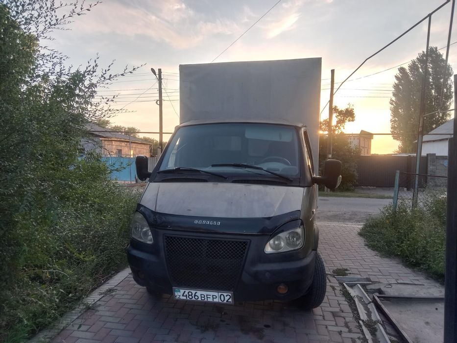 Обмен на скот бычков ,баранов