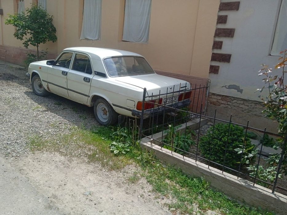 Volga yurip turipti xolati orta gazi bor mator xadavoy yaxshi