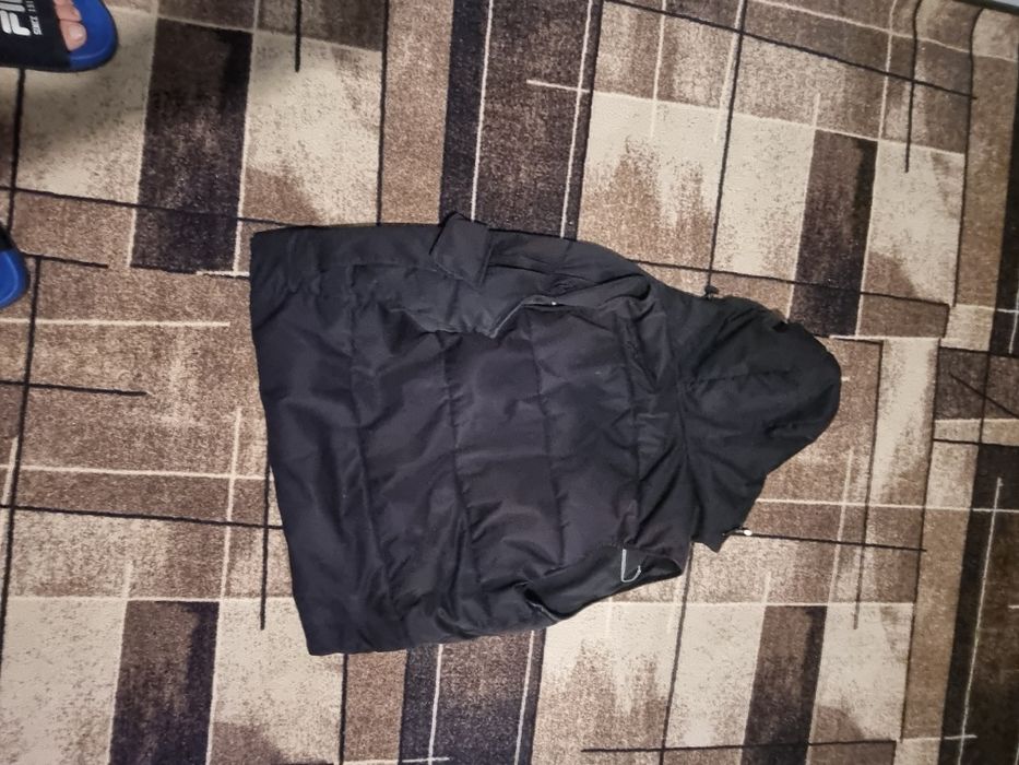 Vesta zara barbati
