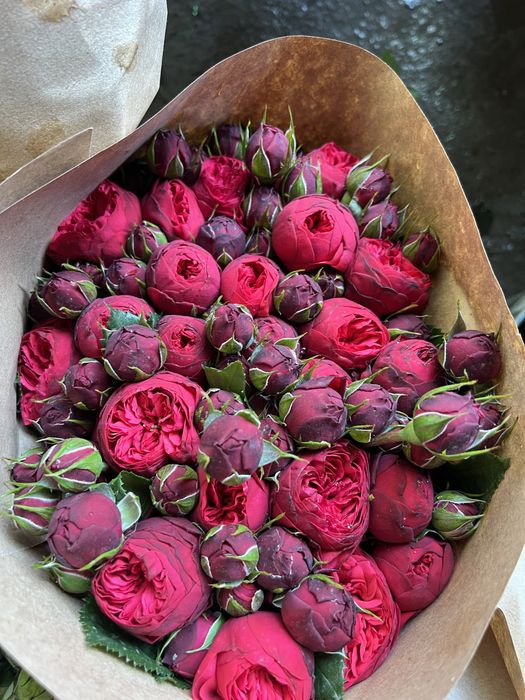 Atirgul gunchalari bor