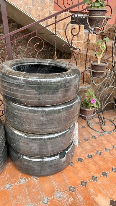 Шины от чемпиона