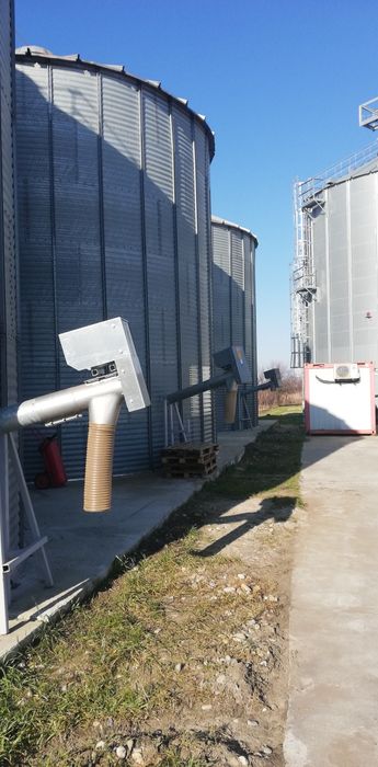 Silozuri / Snec cereale