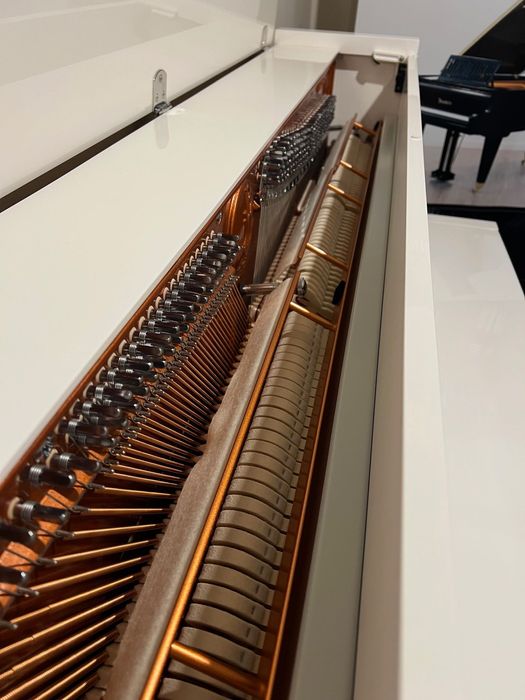 Пиано FEURICH 115