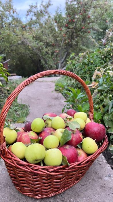 Дача "Родники" саяжай үйі