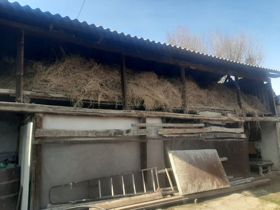 Жоңышка  волом 90мың