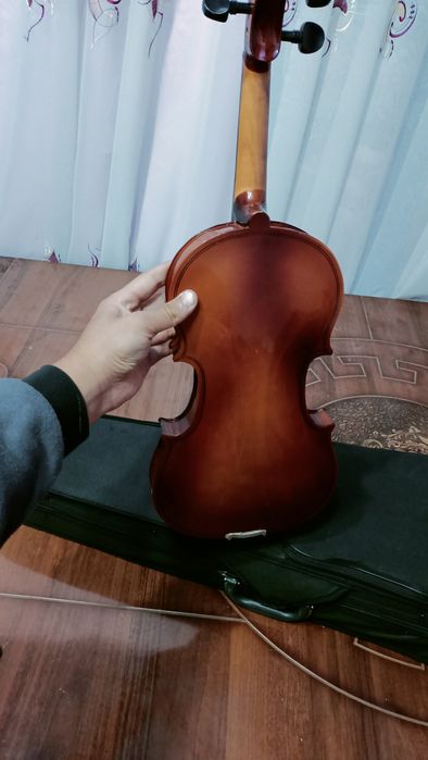 4/4 skripka mikrafoni bor