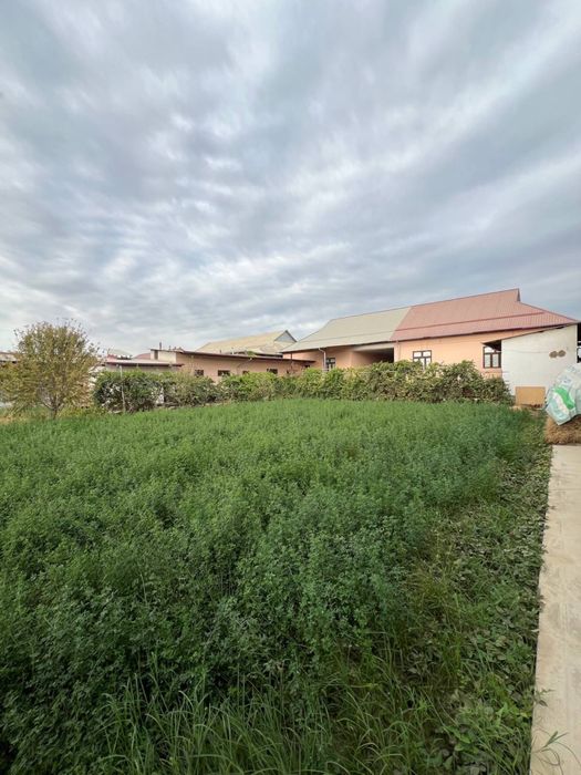 Гулистонда ховли уй сотилади