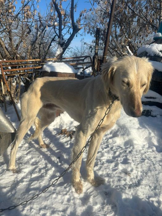 Тазыыыыыыыыыыыыы