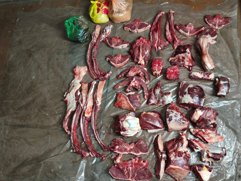 Мясо конина одна  ляжка