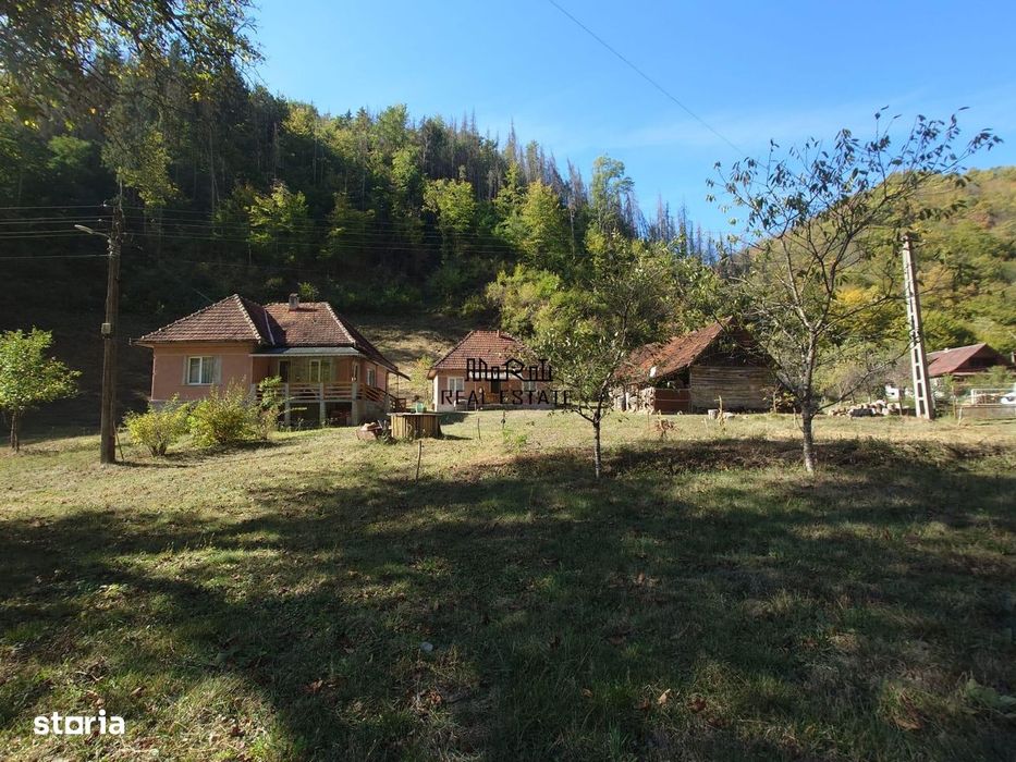 Doua case, teren si padure in Mihaileni - Buces