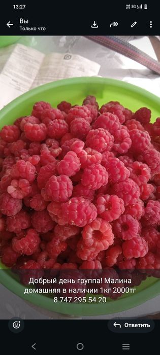 Малина домашняя продам