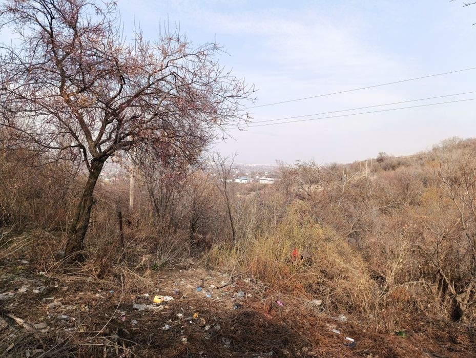 Участок в Тастыбұлақ!!