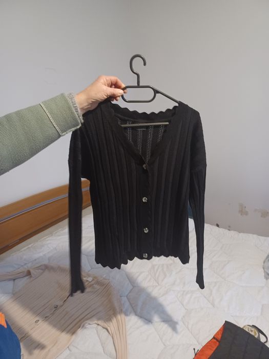 Ploveraș cu nasturi de primăvară damă