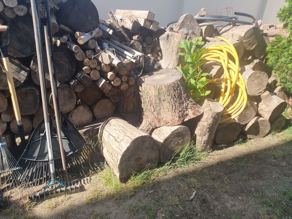Vand lemne de foc platan
