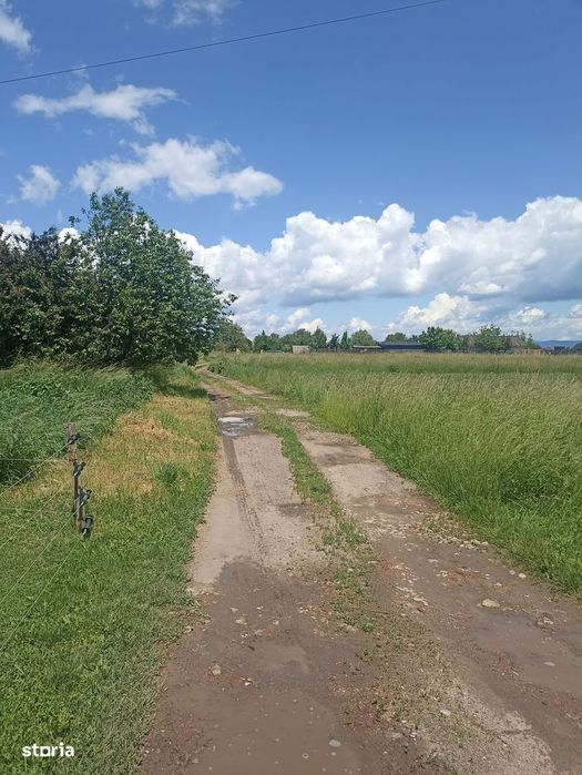 De vânzare teren extravilan în Sfântu Gheorghe