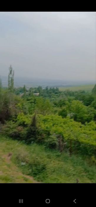 Ер сотилада Бостонлик туманида