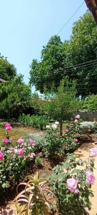 Продава се Къща в Шабла - 300 кв.м за 517 €/кв.м - Снимка #2