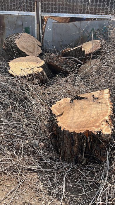 Отдам бесплатно дрова