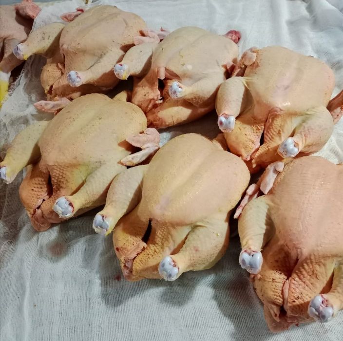 Цыплята бройлер суточные фабричные