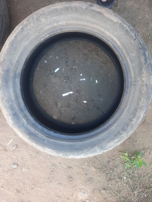 Покрышка жазғы бу