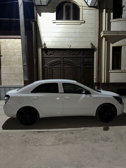 Cobalt midnight 2025