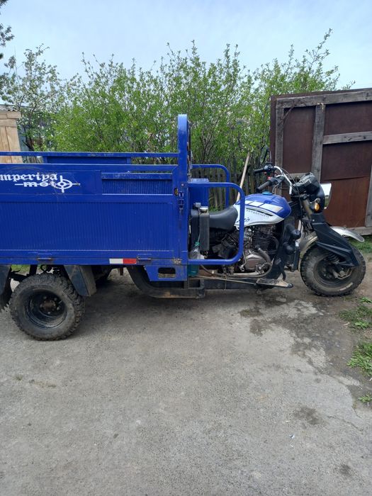 Муравейник синий
