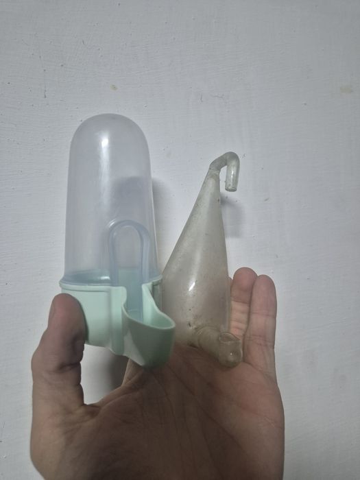 Cusca canari / papagali