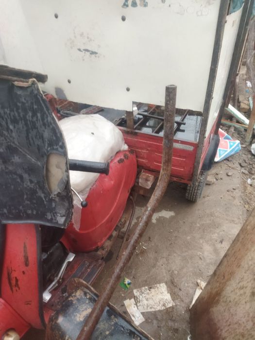 Rassiya muravey xolati yaxshi