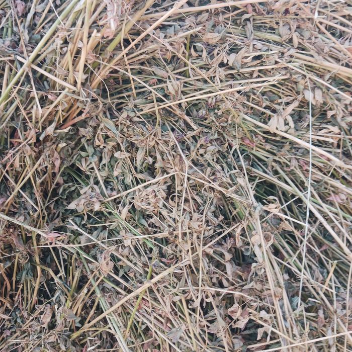 Baloti lucerna extra calitate  coasa 3 130x125