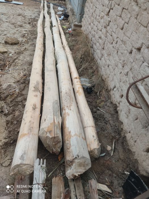 Ак терек сатылады барі 700 мын метры 6-7 бар