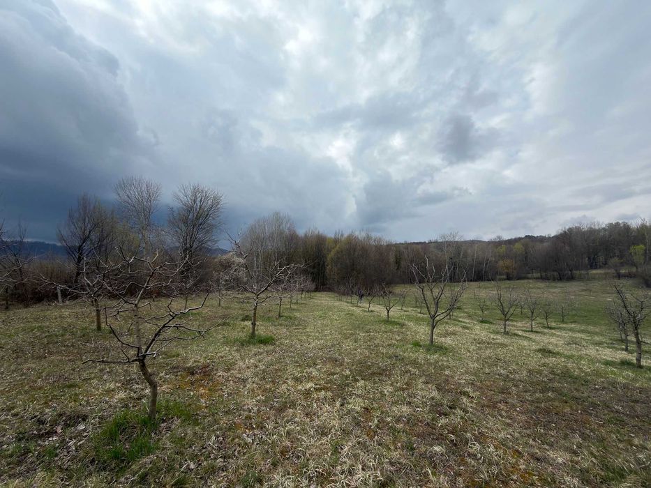 Teren / grădină de vânzare în Barbuletu, judetul Dambovita –  8055 mp