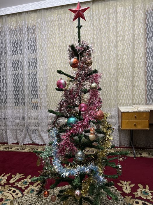 Шырша, Ёлка.