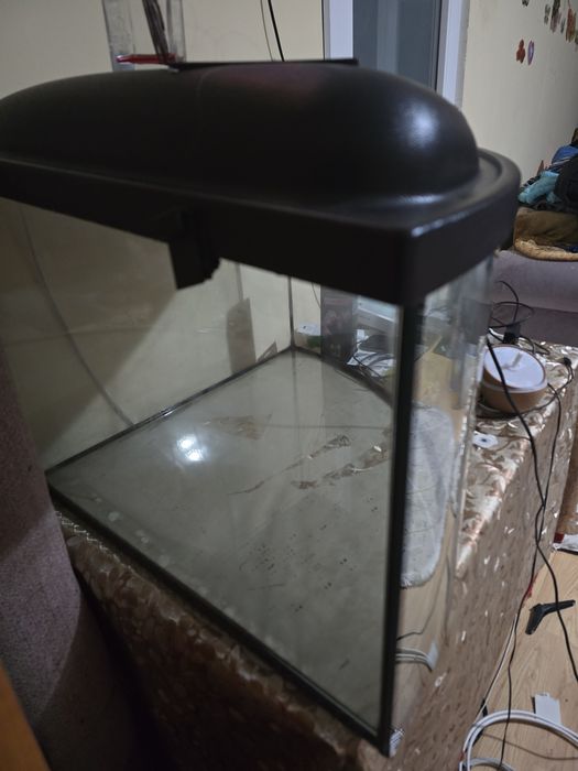 Vand acvariu peștii