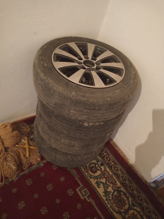 Пакришка с титанкой