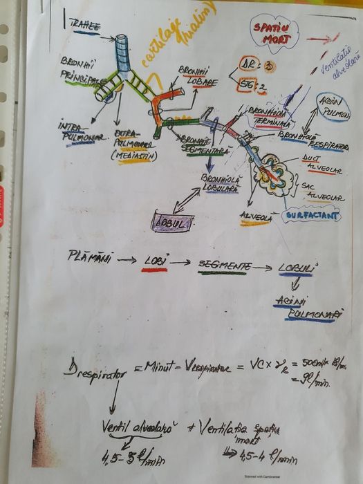 Cărţi admitere medicină București, 2022, 2021, 2019, Chimie, Biologie