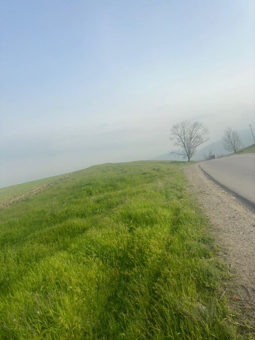 Продам кх по 50 соток