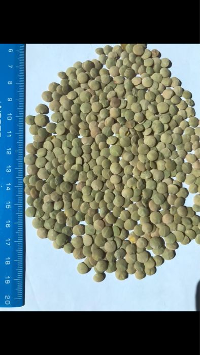 Продам  лён сафлор г.Костанай