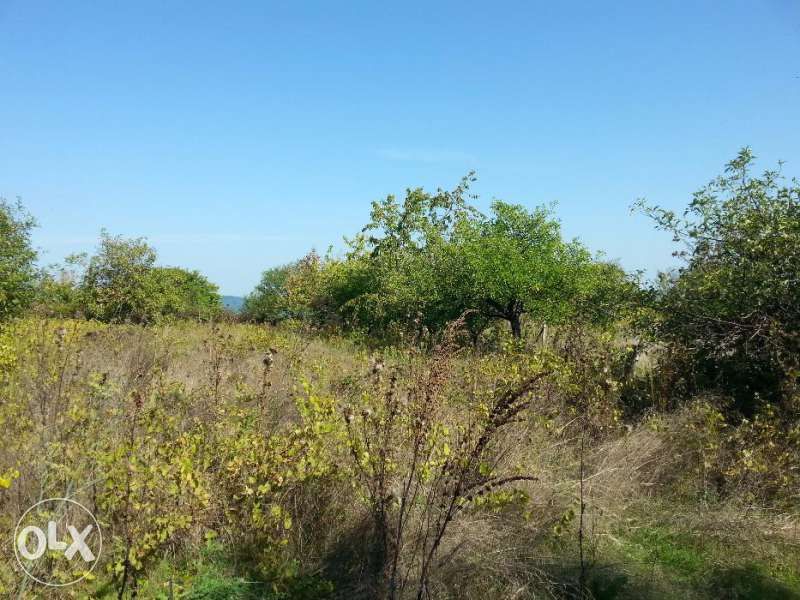 Продава се Къща в с. Паницово, Област Бургас - 250 кв.м за 100 €/кв.м - Снимка #7