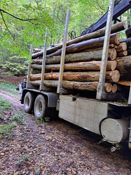 Lemn de foc la domiciliu