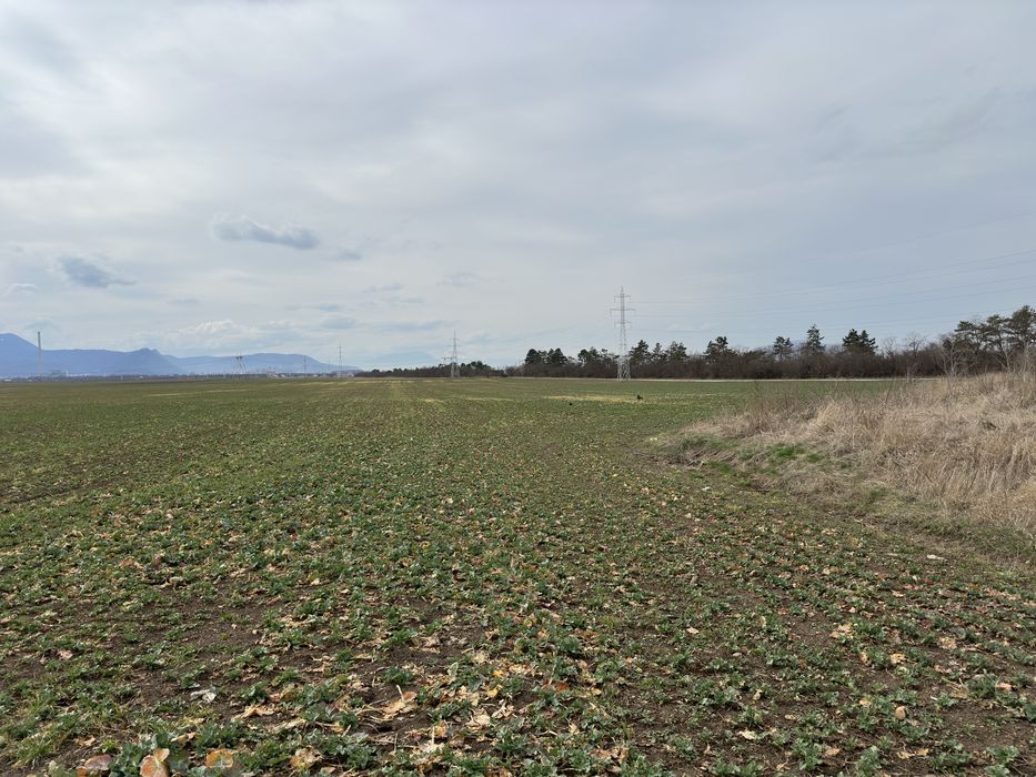 Teren extravilan 33500mp Gara Harman, Brasov