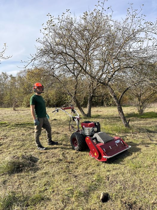 Почистване на дворове, парцели, овощни градини, солари с мулчер